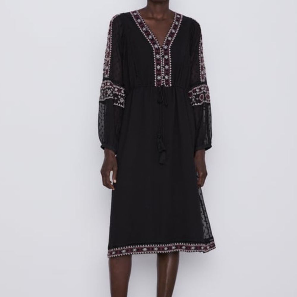 Zara Embroidered Dotted Mesh Midi Dress Black